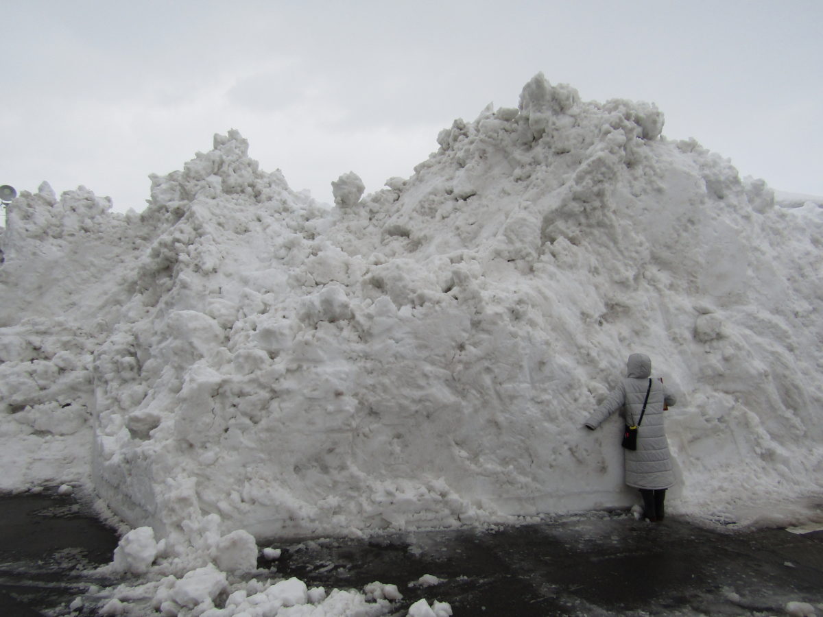 雪の国新潟⛄